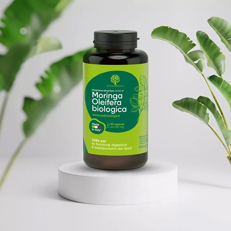 Moringa Oleifera BIO Organic - Redmoringa