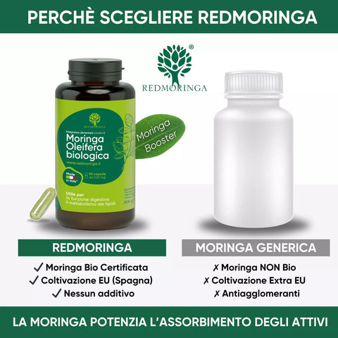 Moringa Oleifera BIO Organic - Redmoringa