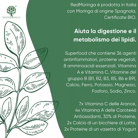 Moringa Oleifera BIO Organic - Redmoringa