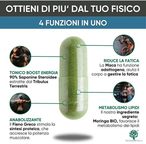 Integratore Energia con Tribulus Terrestris e Maca - Redmoringa