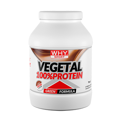 WHYSPORT - 100% VEGETAL PROTEIN