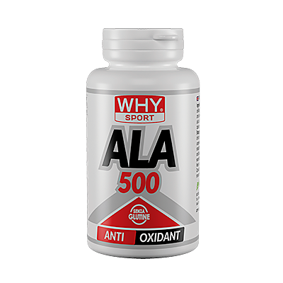 WHYSPORT - ALA 500